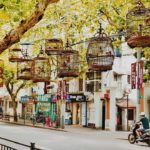 鳥籠屋十蔵(とりかごやじゅうぞう)竹の鳥かご販売とオーダーについて