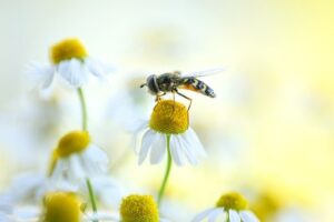 【2022年6月運勢】誕生日ランキング！運がいい1位～366位まで